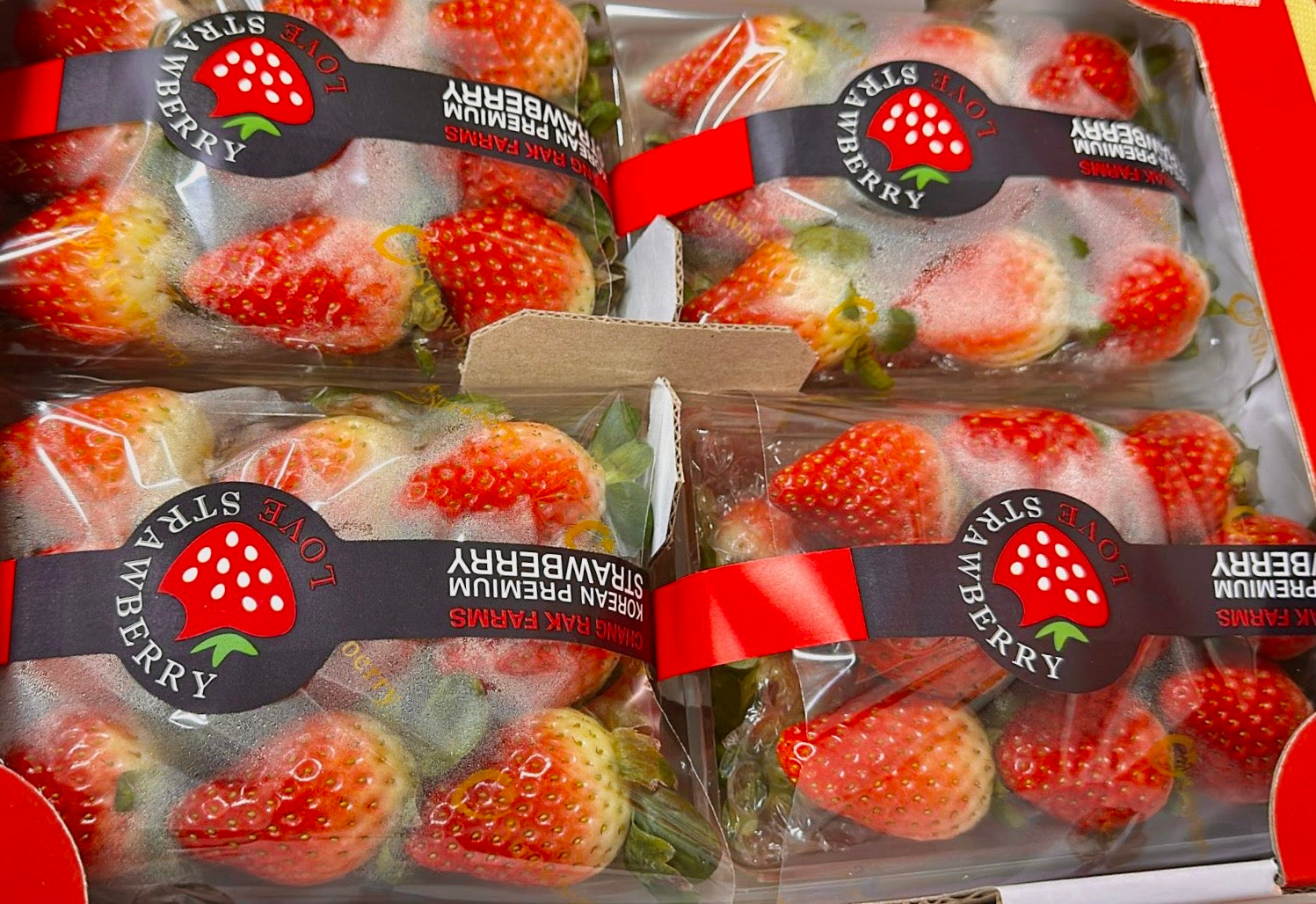 Korea Strawberry (changrak)