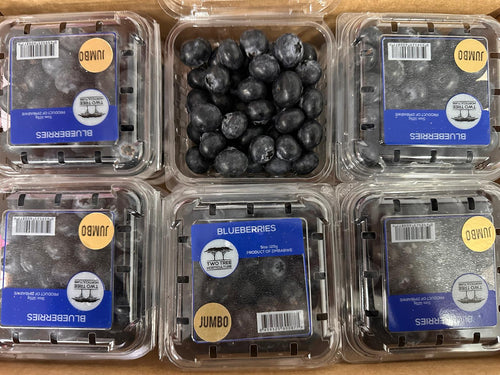 Blueberries JUMBO size