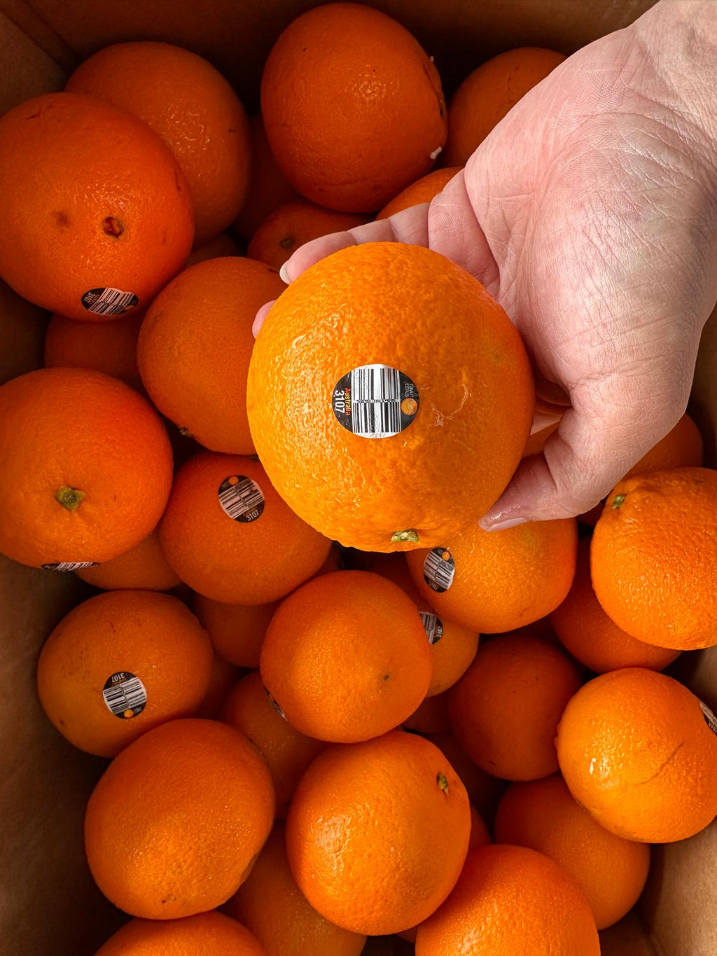 Sunkist Naval Orange