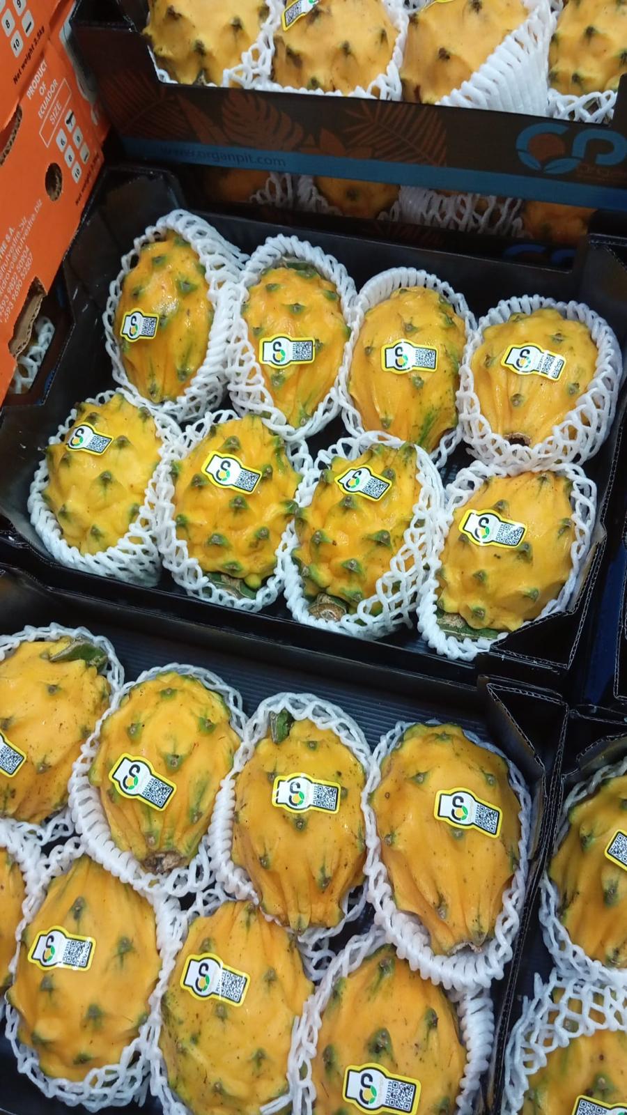 Yellow Dragon Fruit (special)