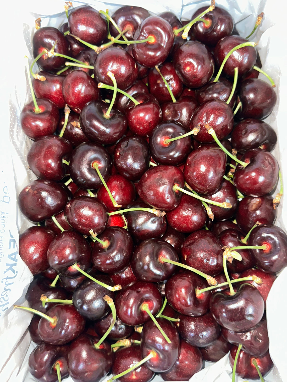 Australia Big Red Cherry