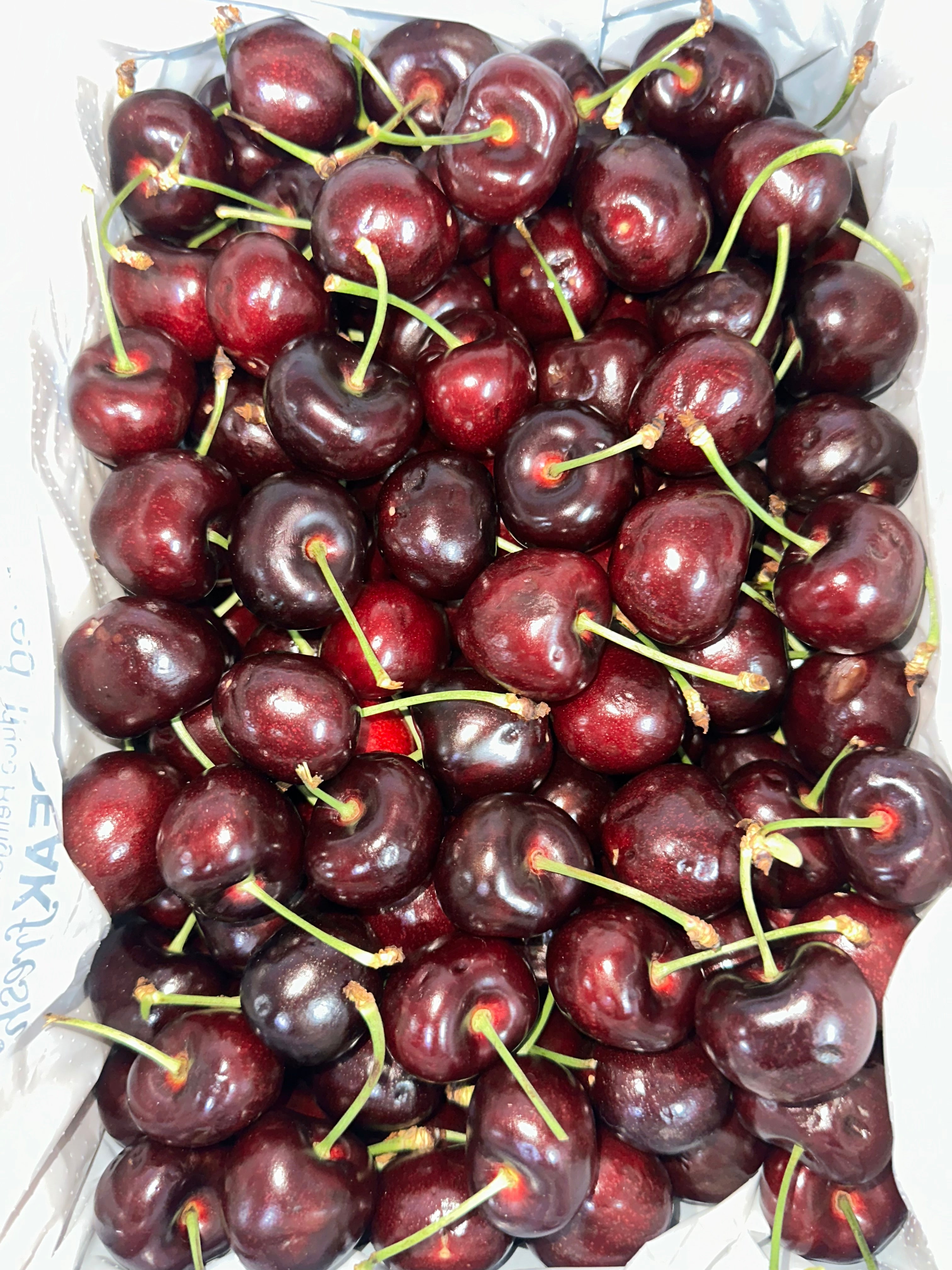 Australia Big Red Cherry