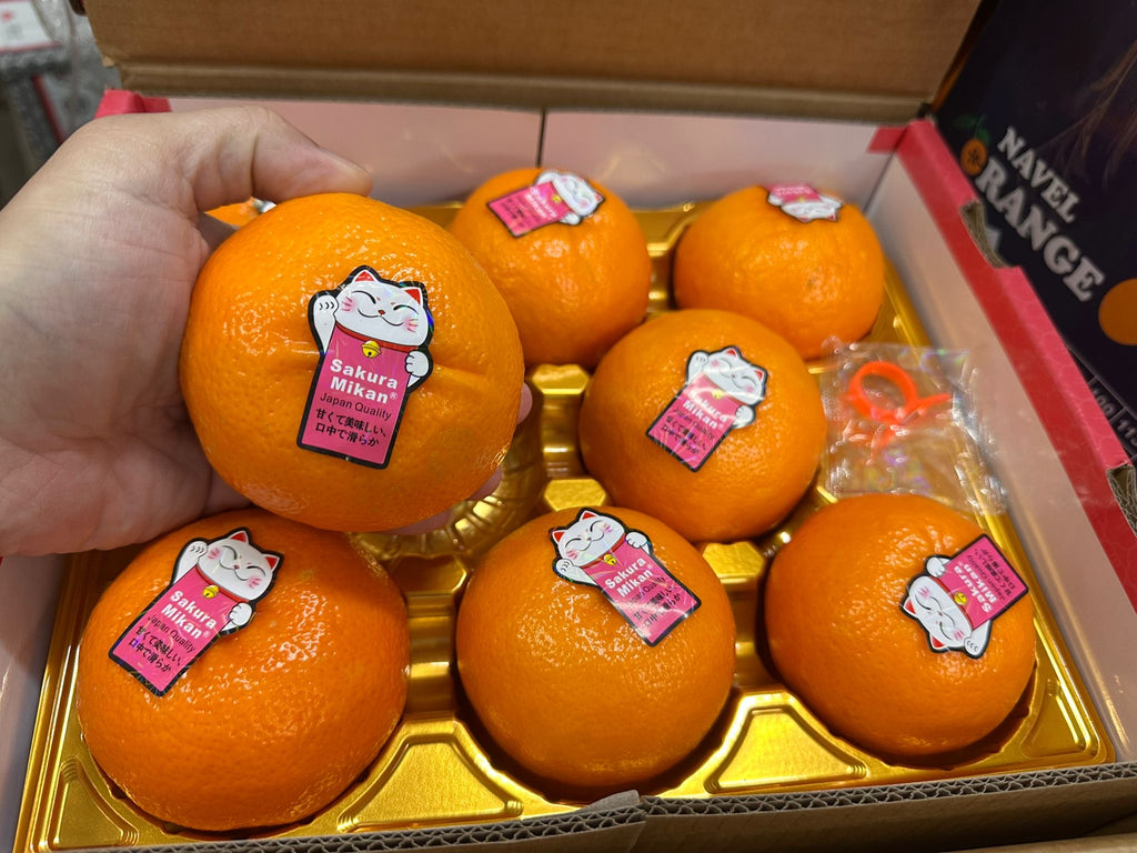 Premium Sakura Mikan Mandarin Orange Box