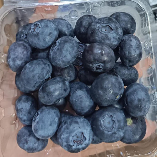 Blueberries JUMBO size