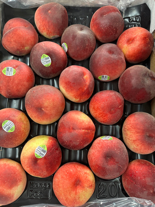 Australian White Peach 🍑