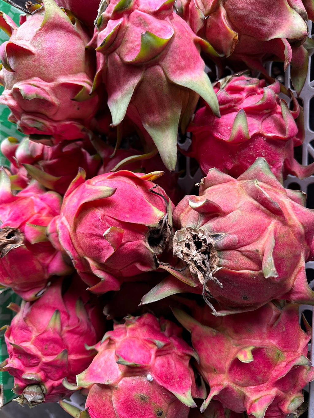 Dragon fruit (whitemeat)