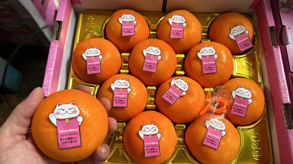 Premium Sakura Mikan Mandarin Orange Box