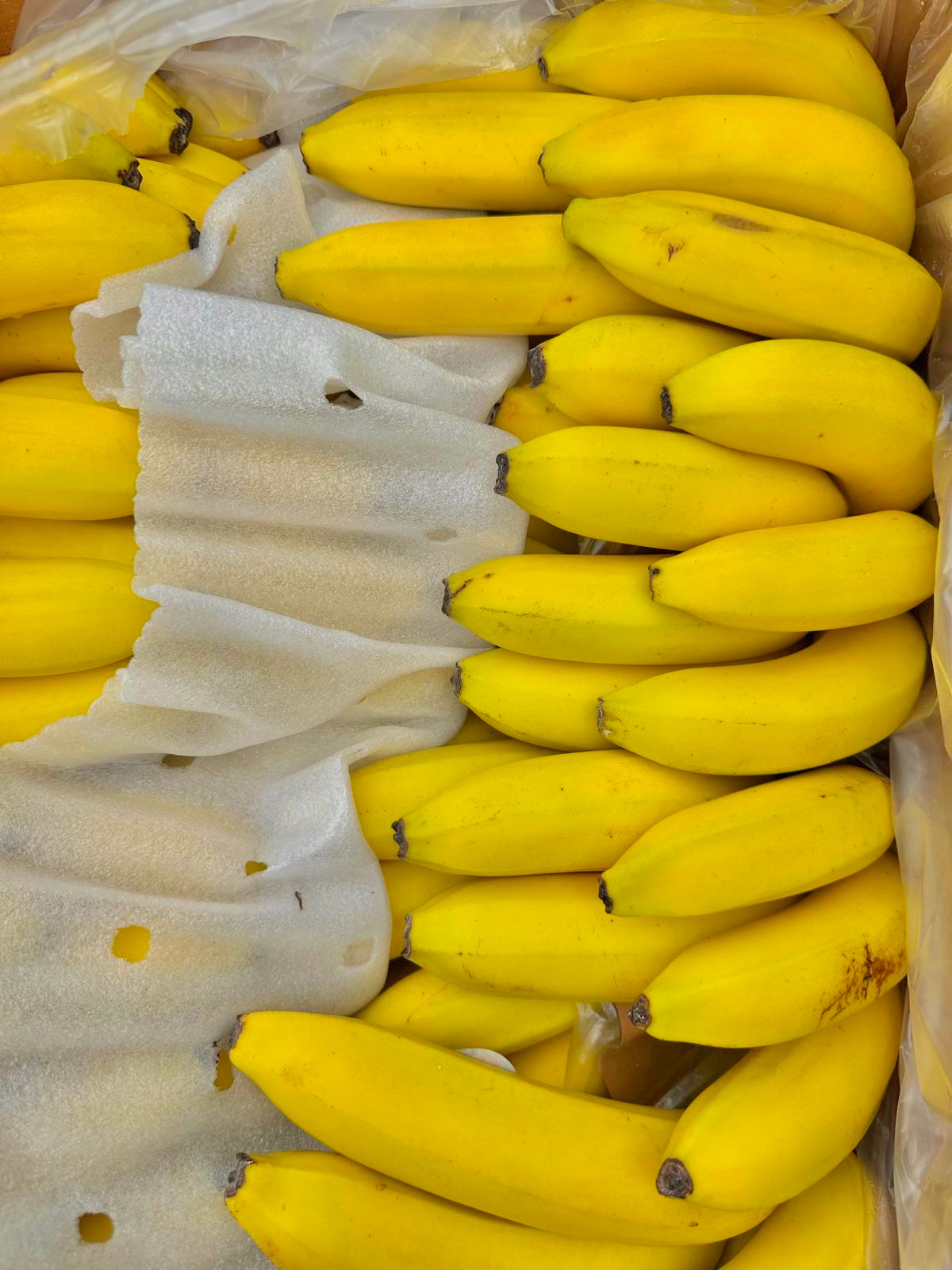 Aloha Banana 1kg