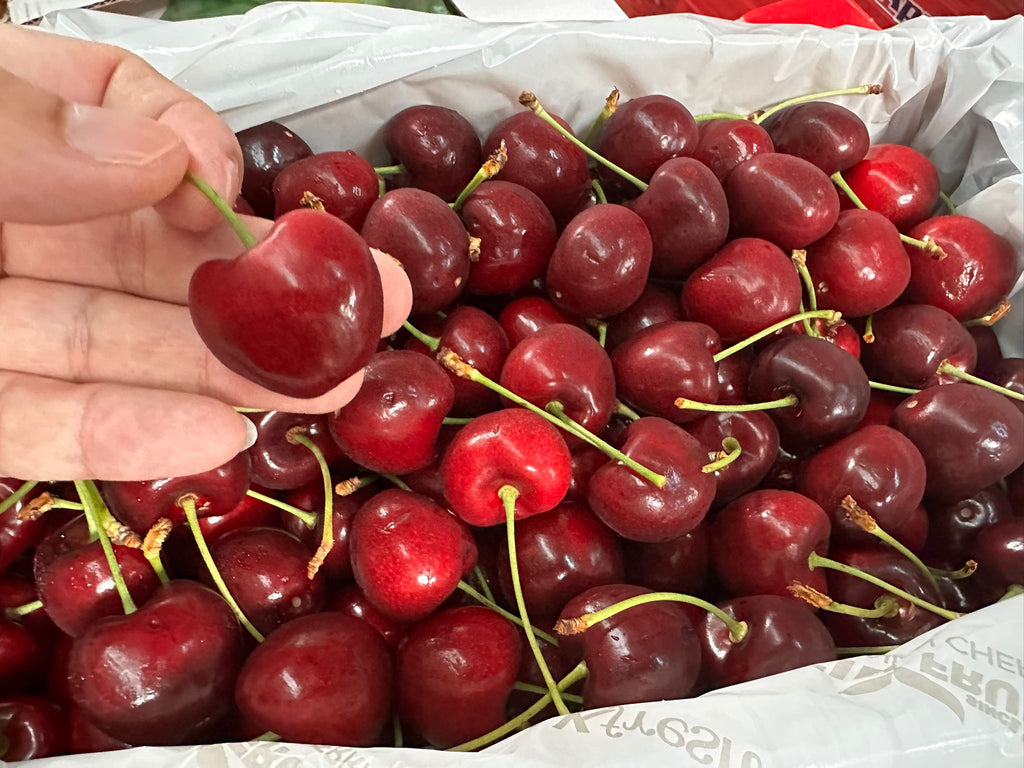 Tasmanian Reid Jumbo Red Cherry 2kg