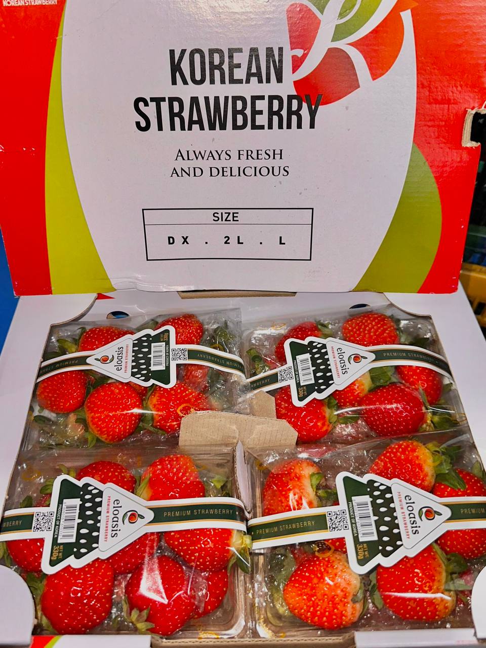 Korea Strawberry eloasis