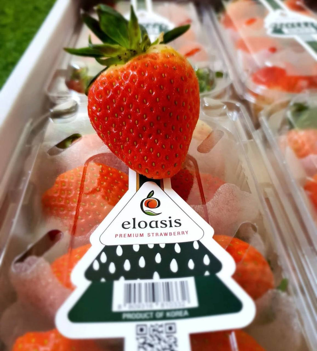 Korea Strawberry eloasis