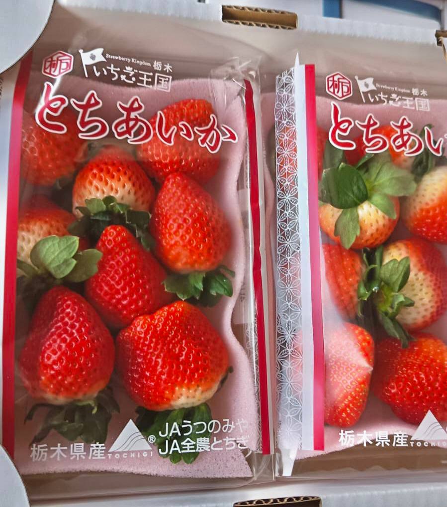 Japan Strawberry